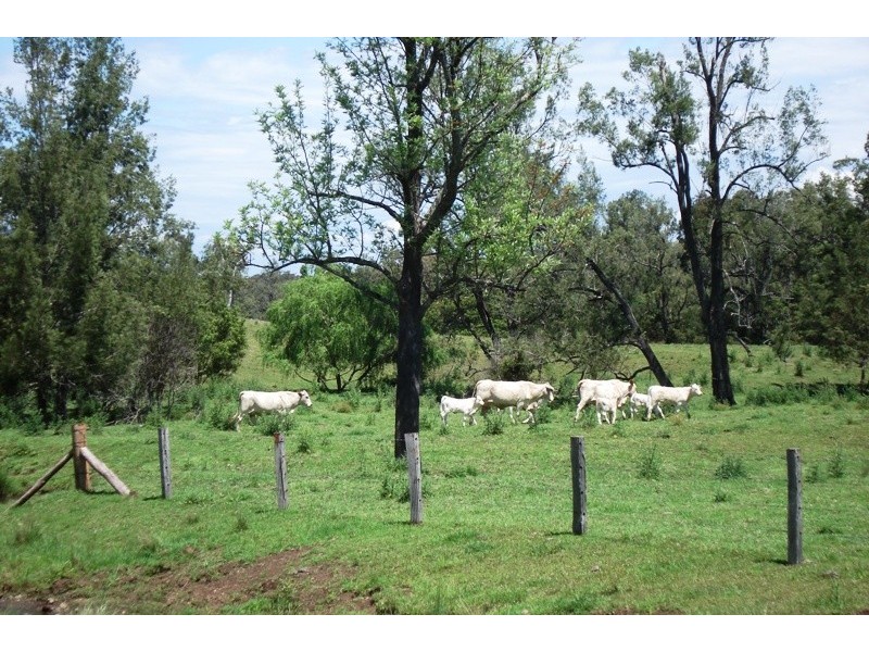 Whites Road, Homeleigh NSW 2474