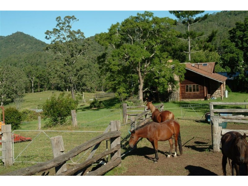 Eden Creek Road, Upper Eden Creek NSW 2474