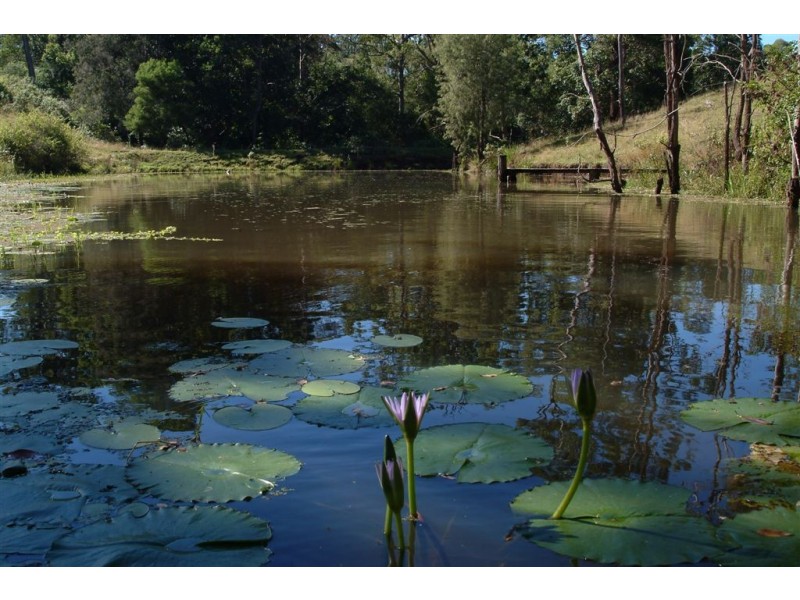 Eden Creek Road, Upper Eden Creek NSW 2474