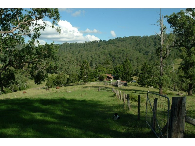 Eden Creek Road, Upper Eden Creek NSW 2474