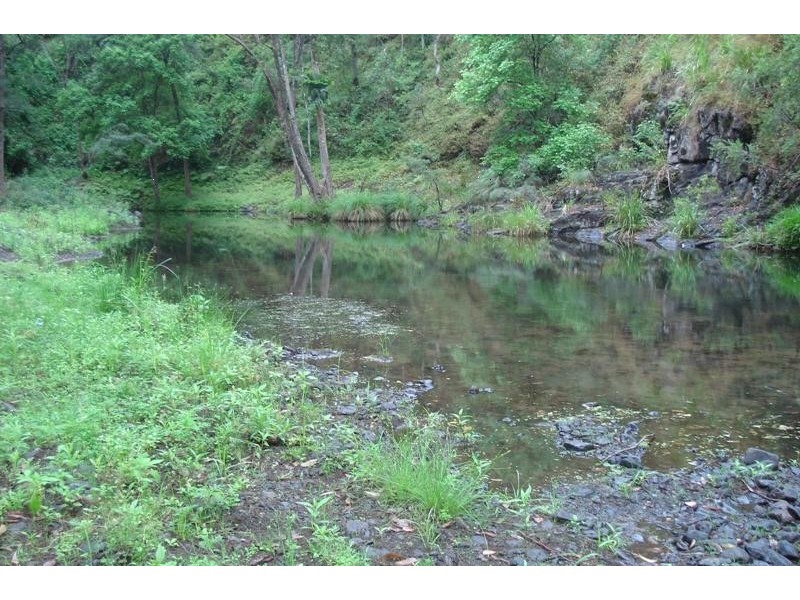 Eden Creek Road, Upper Eden Creek NSW 2474