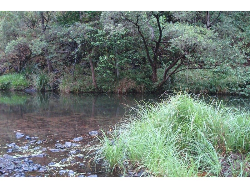 Eden Creek Road, Upper Eden Creek NSW 2474