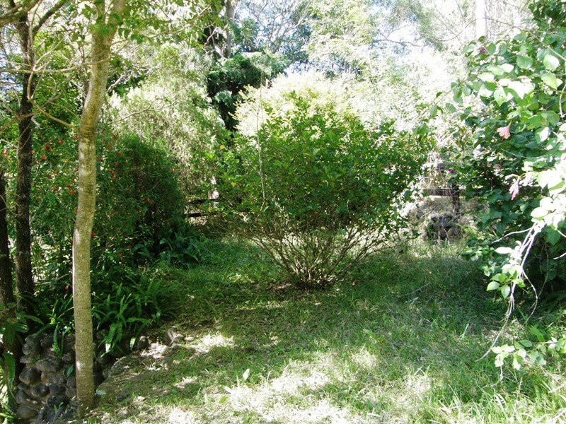 124 Warrazambil Creek Road, Kyogle NSW 2474