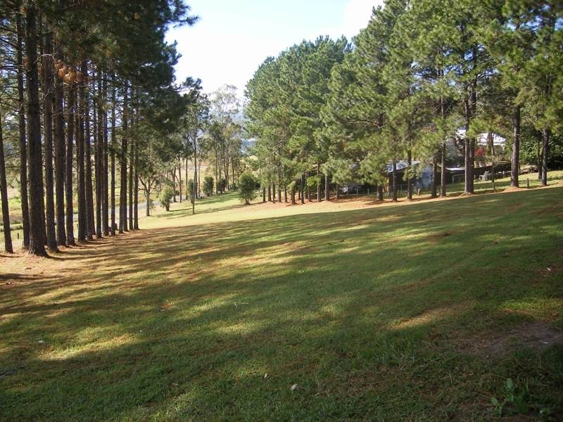 47 Wiangaree Back Road, Kyogle NSW 2474