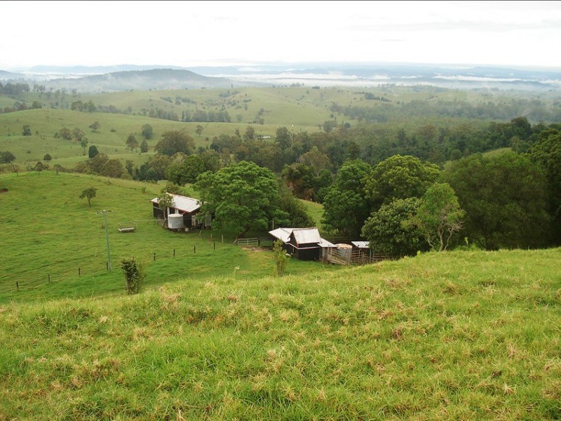 173 Richmond Range Road, Mallanganee NSW 2469