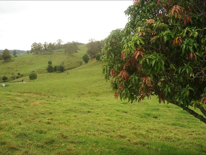 173 Richmond Range Road, Mallanganee NSW 2469