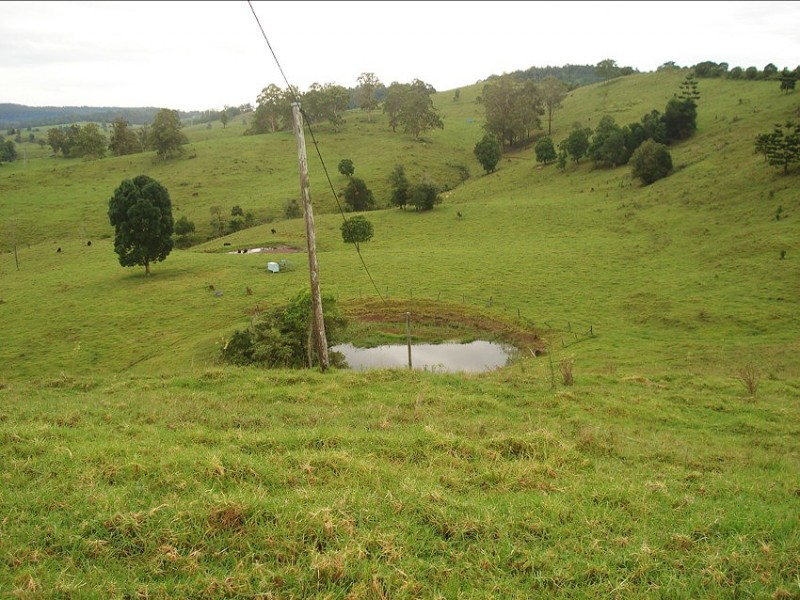 173 Richmond Range Road, Mallanganee NSW 2469