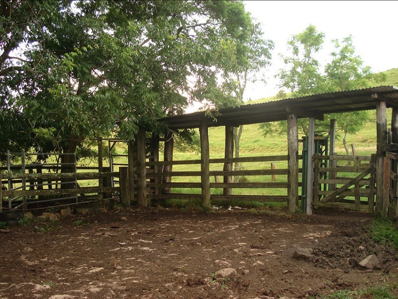 173 Richmond Range Road, Mallanganee NSW 2469