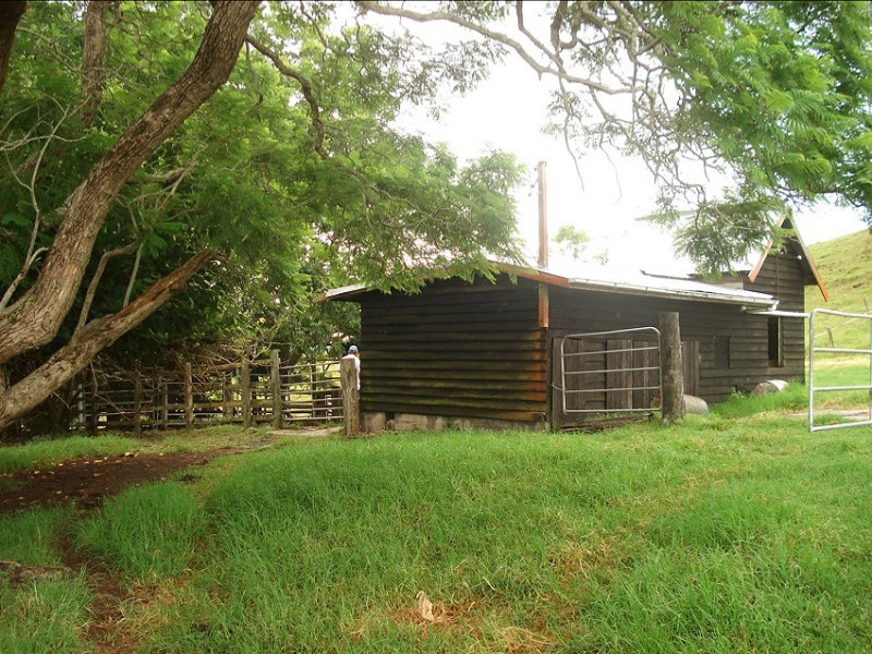 173 Richmond Range Road, Mallanganee NSW 2469