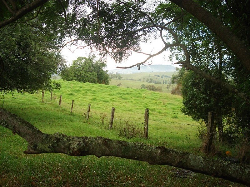 173 Richmond Range Road, Mallanganee NSW 2469