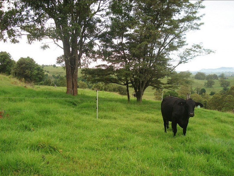 173 Richmond Range Road, Mallanganee NSW 2469