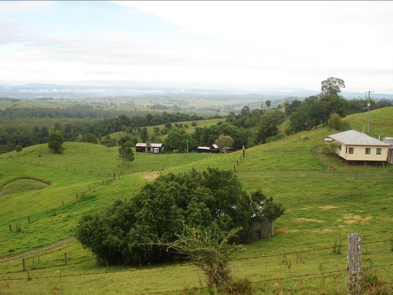 173 Richmond Range Road, Mallanganee NSW 2469
