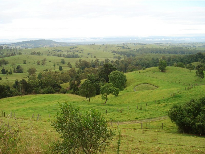 173 Richmond Range Road, Mallanganee NSW 2469