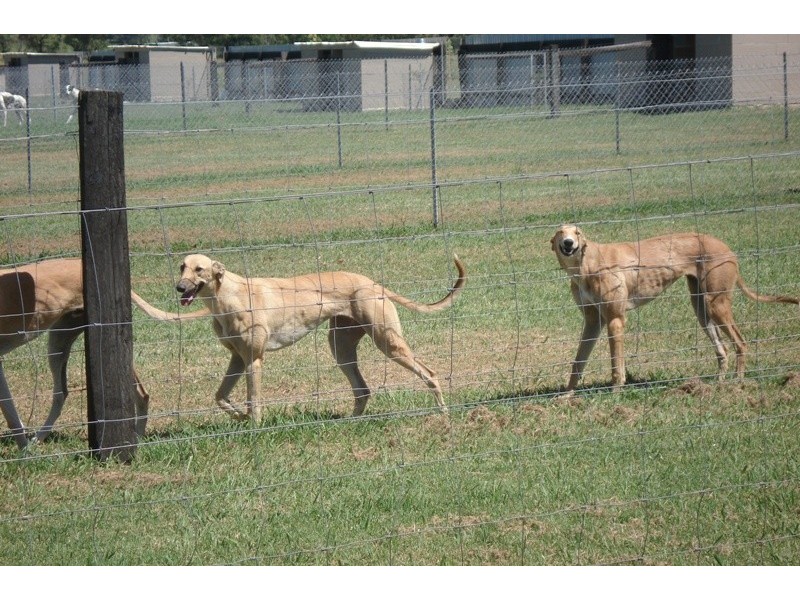 2057 Sextonville Road, Dyraaba NSW 2470