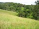 Loadstone NSW 2474