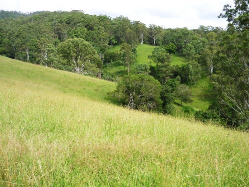 Loadstone NSW 2474