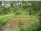 Loadstone NSW 2474