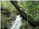 Loadstone NSW 2474
