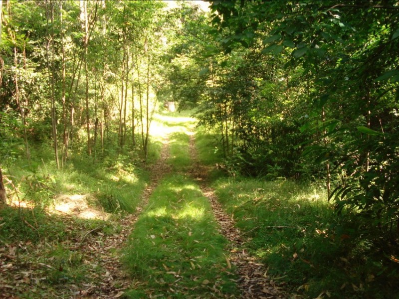 Loadstone NSW 2474
