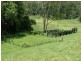 Loadstone NSW 2474