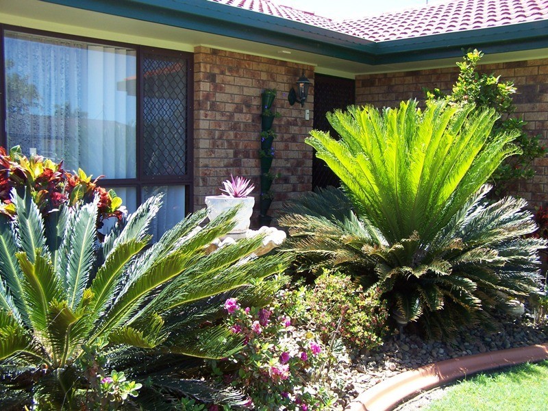 Wurtulla QLD 4575