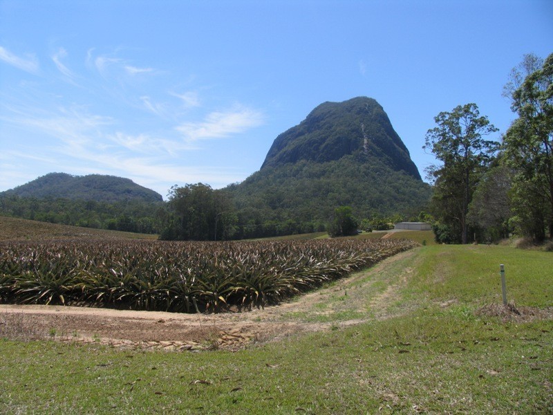 Glass House Mountains QLD 4518