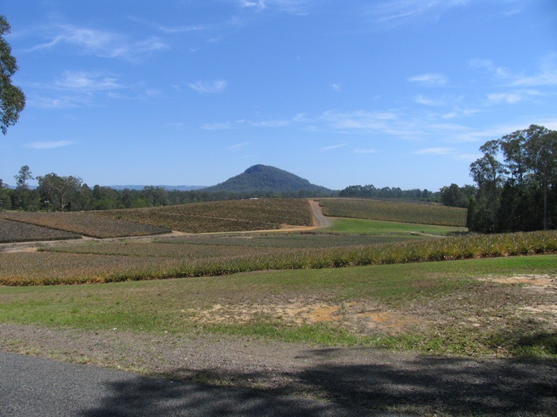 Glass House Mountains QLD 4518