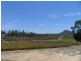Glass House Mountains QLD 4518