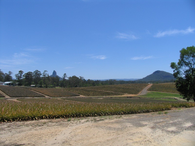 Glass House Mountains QLD 4518