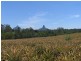 Glass House Mountains QLD 4518