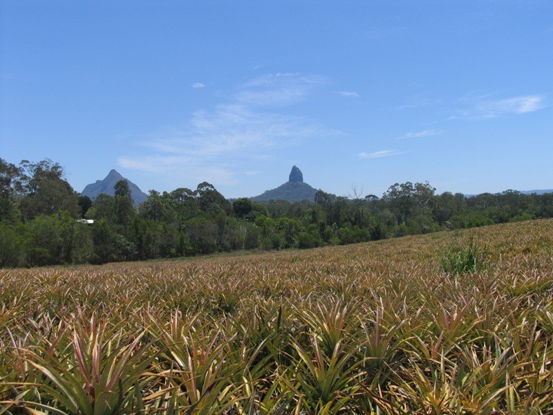 Glass House Mountains QLD 4518