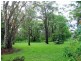 8 Blaxland Street, Golden Beach QLD 4551