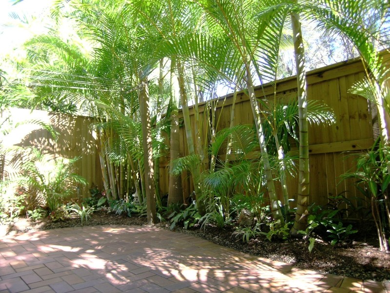 18/8 Lyon Street, Dicky Beach QLD 4551