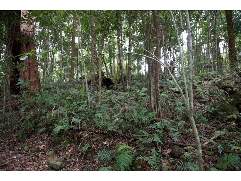 428 – 446 Western Avenue, Montville QLD 4560