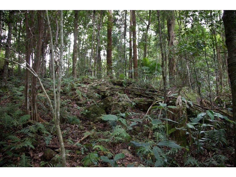 428 – 446 Western Avenue, Montville QLD 4560