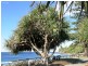 33 Roderick Street, Moffat Beach QLD 4551