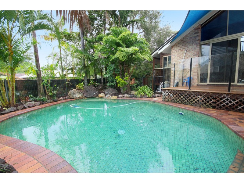 31 Monteray Street, Mountain Creek QLD 4557