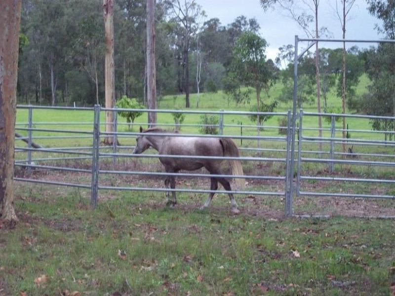 12 Beryl Cres, Curra QLD 4570