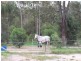 The Palms QLD 4570