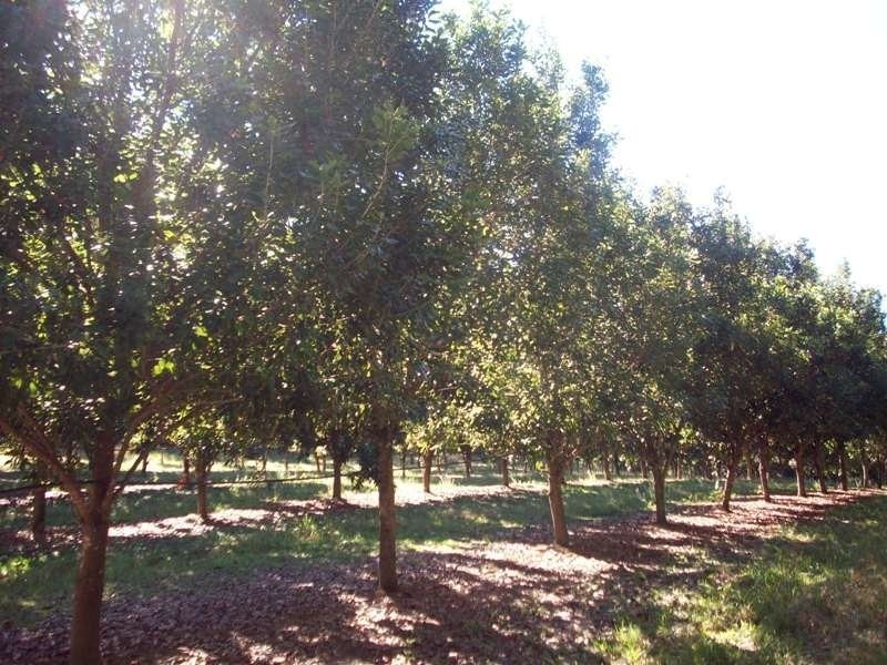 880 Tin Can Bay Rd, Canina QLD 4570