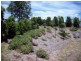 77 Pine Valley Rd, Pie Creek QLD 4570
