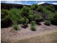 77 Pine Valley Rd, Pie Creek QLD 4570