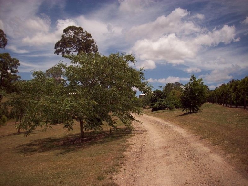 77 Pine Valley Rd, Pie Creek QLD 4570