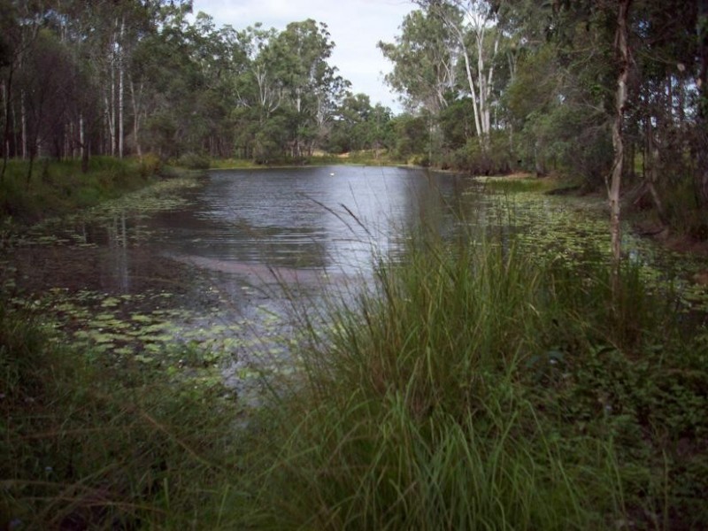 Curra QLD 4570
