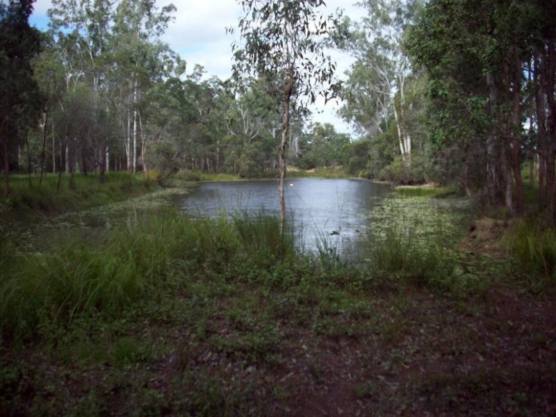 Curra QLD 4570