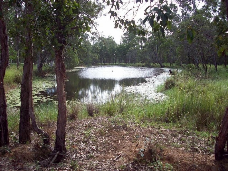 Curra QLD 4570
