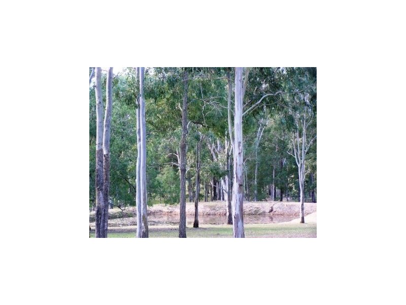 96 MUNDOOLUN CONNECTION ROAD, Tamborine QLD 4270