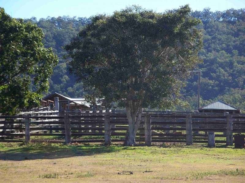 Palen Creek QLD 4287