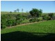 Laravale QLD 4285
