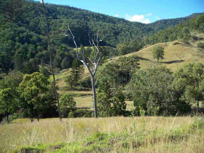 Kerry QLD 4285